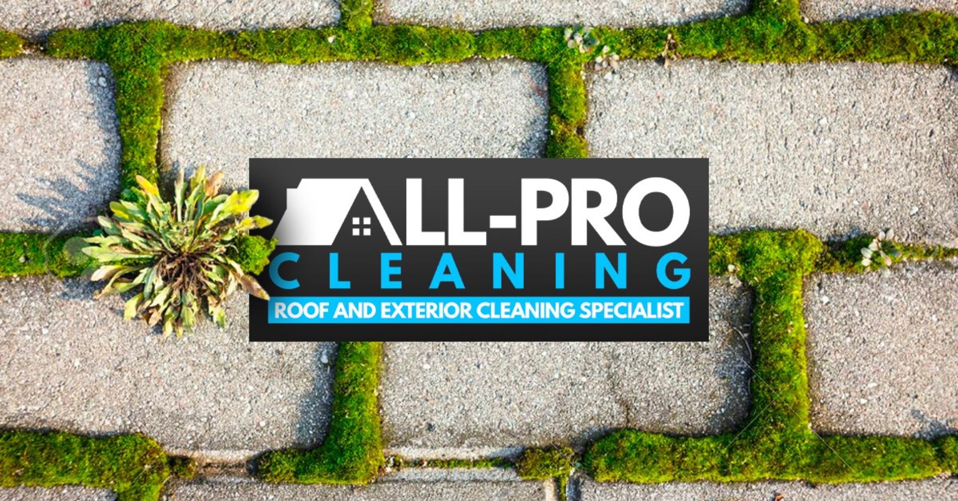 exterior cleaning specialists