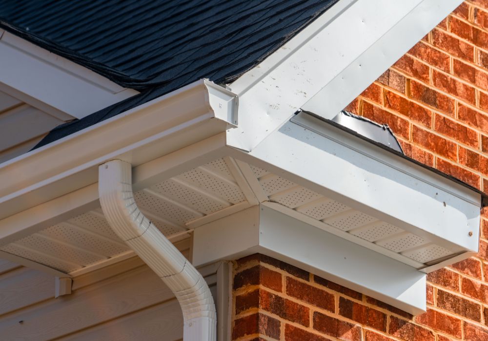 professional fascia soffit cleaning